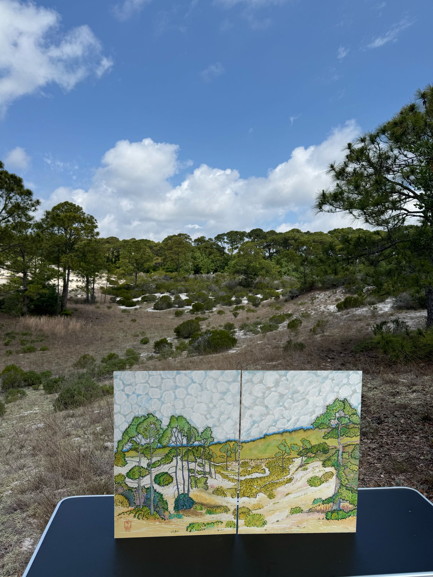 “Les Dunes de Sable d’Orleans (Dauphin Island)" (2025)