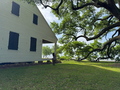 "Oldfields (Home of Walter Anderson)” (2026)