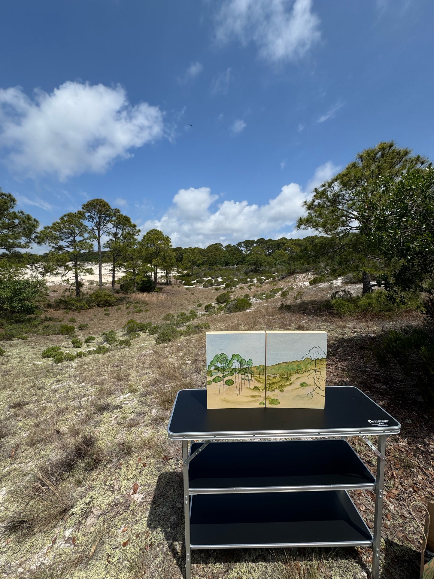 “Les Dunes de Sable d’Orleans (Dauphin Island)" (2025)