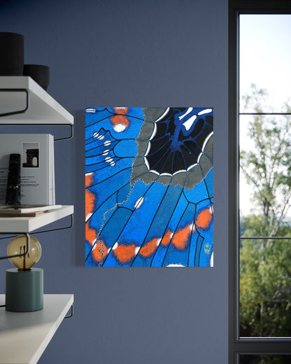 "Pipevine Swallowtail Over Okatibbee" (2026)