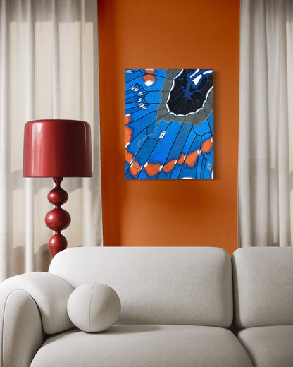 "Pipevine Swallowtail Over Okatibbee" (2026)